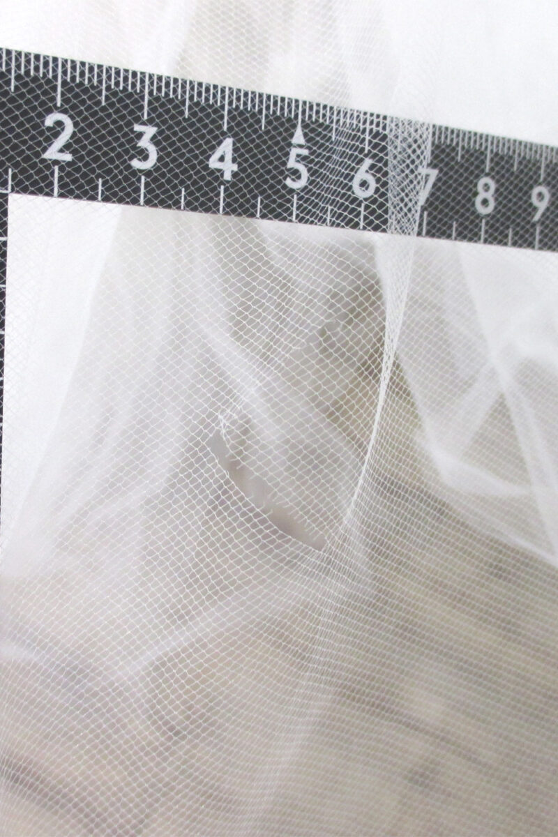 Vera Wang【Liesel / US4】