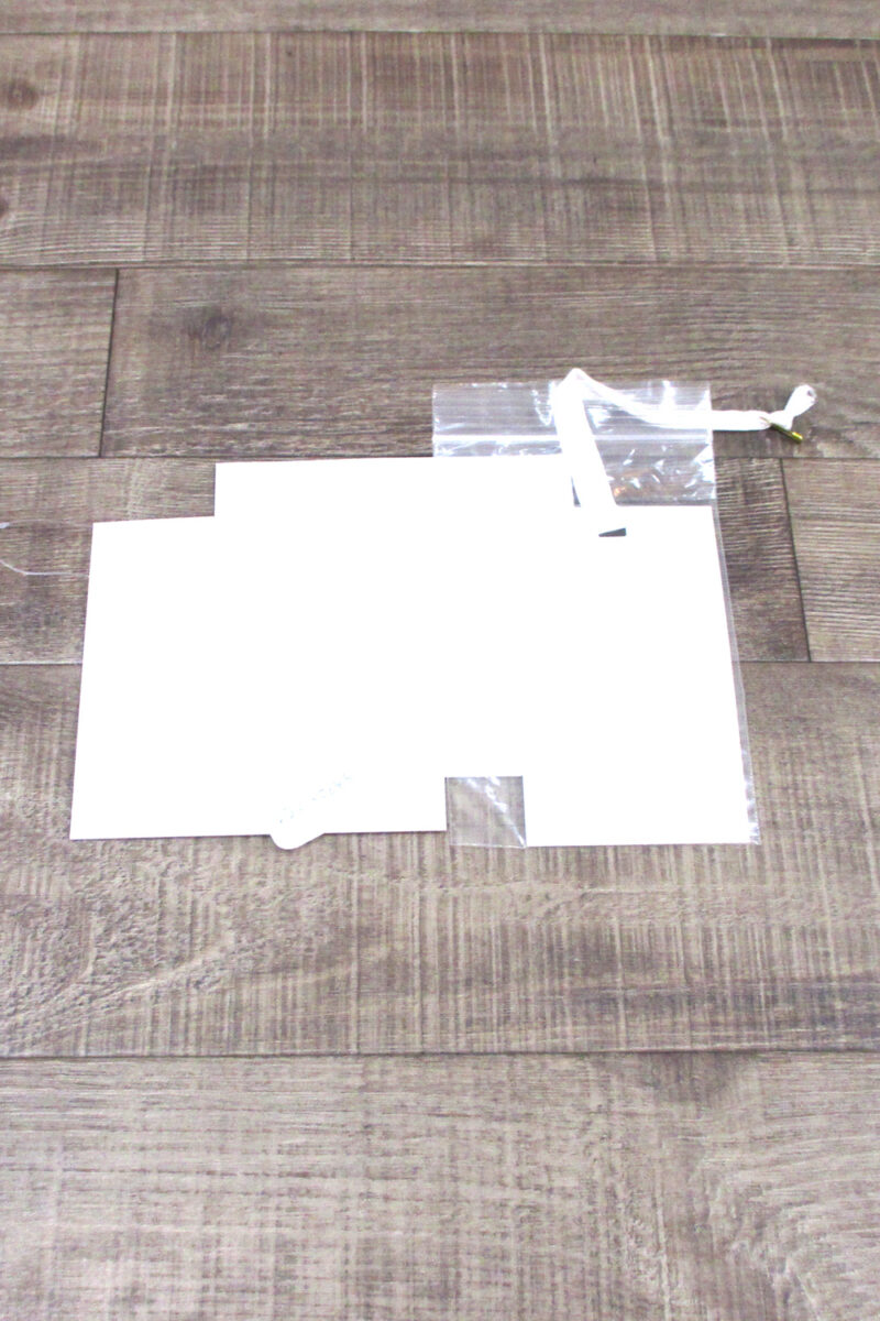 Vera Wang【Liesel / US4】